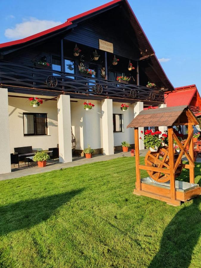 فندق Casa Alexandru - Locul In Care Te Simti Acasa فيسيو دي جوس المظهر الخارجي الصورة
